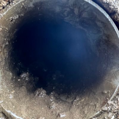 RTetego's profile picture. あなたのツイートめっちゃ良いです‼️ 成人腐オタク ジャンル色々 ほぼいいねするだけ