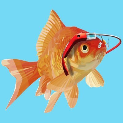 Just a simple goldfish trying to keep its head in today's ultra hyperconnected world.