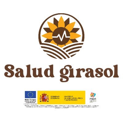🌻 Aplicación de indicadores de salud y calidad de suelos para una manejo sostenible y  eficiente del girasol en 🇪🇸 España