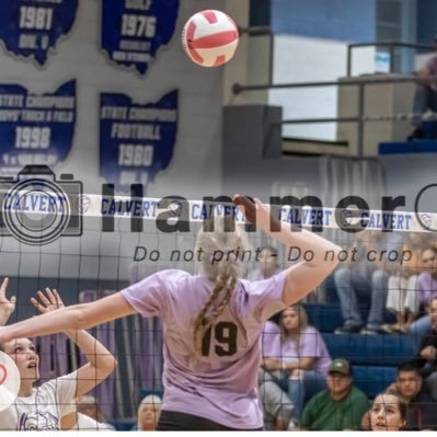 bella1249594's profile picture. Calvert high school 27’ mintonette vbc oh #5