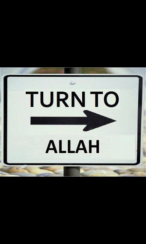 Islam is my relagion.Allah is my lord. follow me . I will follow u back..