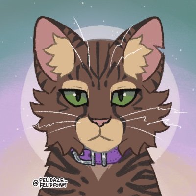 evan the cat 🐈🌿さんのプロフィール画像