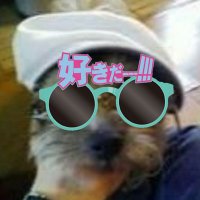 頼π a.k.a よりこさん(@yori_pai) 's Twitter Profile Photo