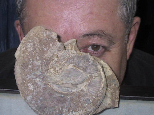 FossilDon's profile picture. love my wife, kids, rocks,rugby league,cricket motor sport,target shooting,rum,oh did i mention rocks!