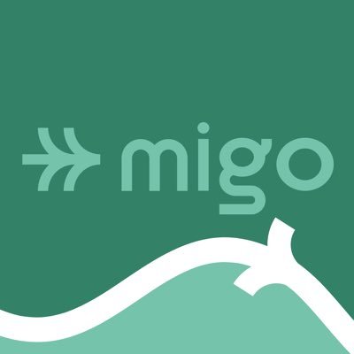 Migo, Movilidad Inteligente de Gestión Opita, es el nombre del Sistema Estratégico de Transporte Público de Neiva