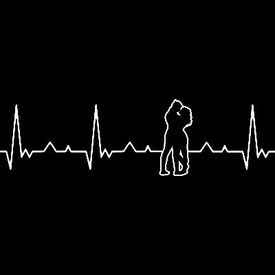 DancanDelw24815's profile picture. God Only
Philomath