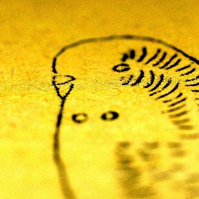 せんささんのプロフィール画像