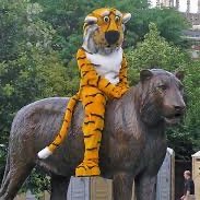 scm_tiger's profile picture. M-I-Z! Chapter President, damn glad to meet you.