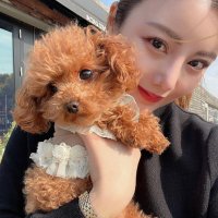 けいこ (@arsistaf4ever) Twitter profile photo