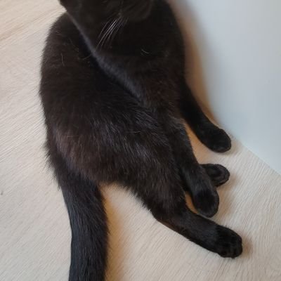 7cmuNcVgpP7HJAl's profile picture. 嵐ARASHIファンです。