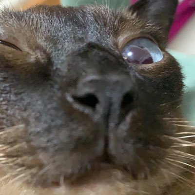 chad10991394788's profile picture. 