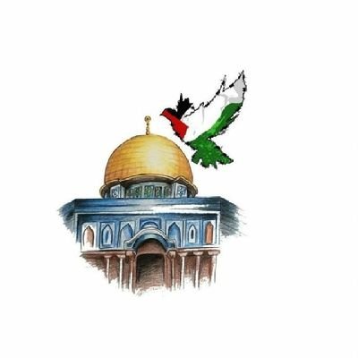 dadasfv's profile picture. O'nun Dünyasında O'nun Dediği Olmalı