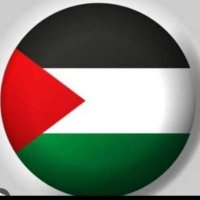 Akram Hashmi 🇵🇸 (@am__hashmi) 's Twitter Profile
