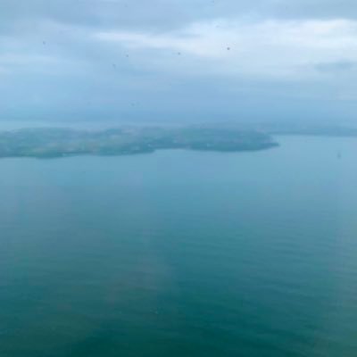 ankur955555's profile picture. 