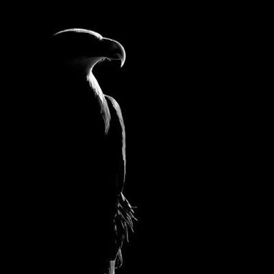 edmctnky's profile picture. 