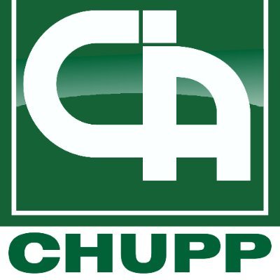 ChuppInsAgency Profile Picture