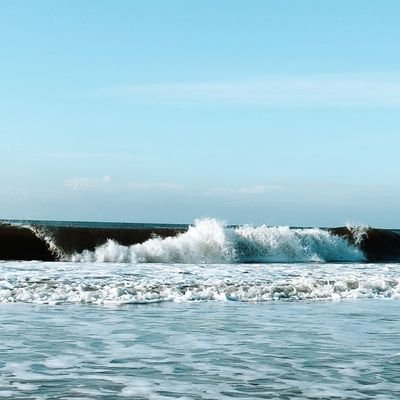 Holger_P4F_SHG's profile picture. SEI EIN MENSCH 

SAVE THE CLIMATE . NOW!  
Geboren bei 330 ppm Ich bin ANTIFA #fckafd #wirsindmehr