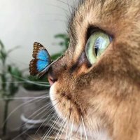 Aya faitory(@totofaitory) 's Twitter Profile Photo