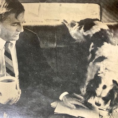 jamgo_that's profile picture. 