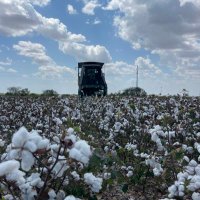 jonathan ramirez (@jonathanrtx_ag) 's Twitter Profile