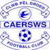 Caersws FC 🏴󠁧󠁢󠁷󠁬󠁳󠁿 (@caerswsfc) Twitter profile photo