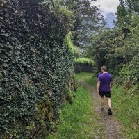 Miguel (@miguel_puyod) 's Twitter Profile