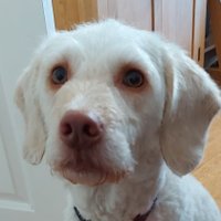 James P (@jamesplanty) 's Twitter Profile
