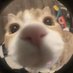 😼 (@sonicbruhpsycho) Twitter profile photo 😼 (@sonicbruhpsycho) Twitter profile photo
