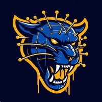 Hailraiser Nation (@hailraisernaysh) 's Twitter Profile
