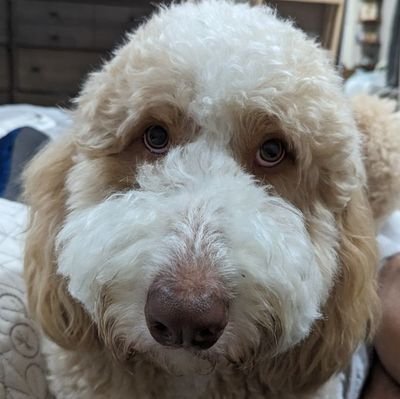 Warriorsinfive's profile picture. Warriors