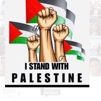 @DublinActivistAmandaC #FreedomFlotilla ✊🇵🇸(@dublinactivist) 's Twitter Profile Photo