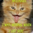 david elsey - @longy400 - Twitter