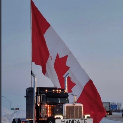 johnnyTee60's profile picture. The left doesn’t feel RIGHT!