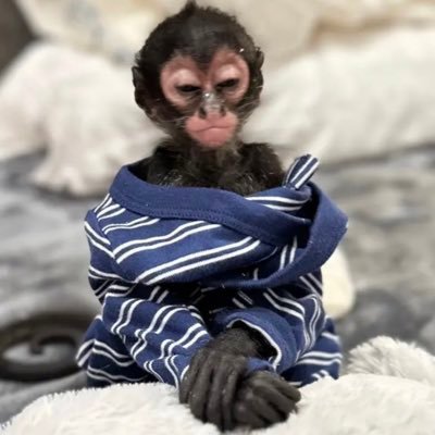 whinkzeee's profile picture. 