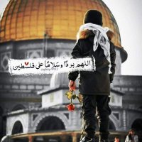 فلسطين (@zmanym48259) 's Twitter Profile