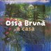 Ossa Bruna (@ossa_bruna) Twitter profile photo