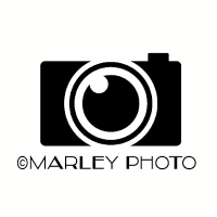 Marley Photo(@marley_photo) 's Twitter Profile Photo