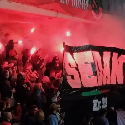 sanglier_blanc's profile picture. 