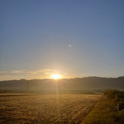 MOMOJY2's profile picture. 大学駅伝・幸福の科学👼
投稿は割とすぐ消します