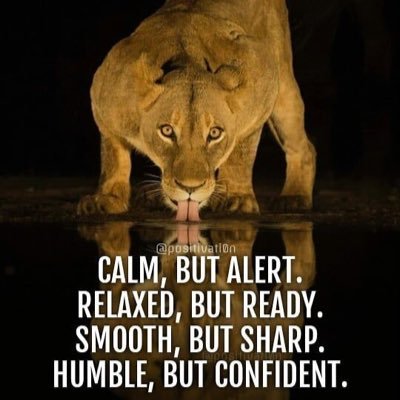 yakin_flux's profile picture. Helping business owners and startups to exploit the potential of Mobile Apps, Websites, and Digital Marketing