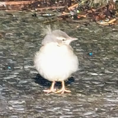 nao2taku0's profile picture. 