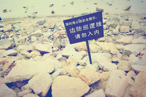 zhuguihua0728's profile picture. 