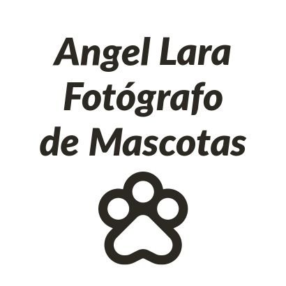 Fotógrafo de mascotas / Instagram: @angelfotografomascotas