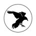 HornInformant (@horninformant) Twitter profile photo HornInformant (@horninformant) Twitter profile photo