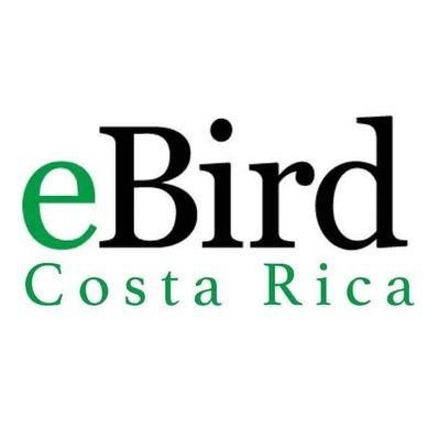 Cuenta Asociada a revisores de eBird Costa Rica 🇨🇷

Birdwatching Costa Rica