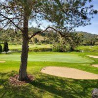 Hank the Golfer (@golfer195775) 's Twitter Profile