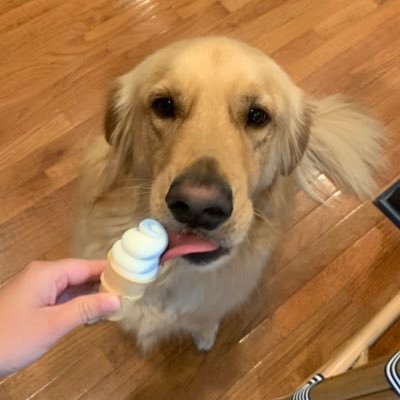 carololz_'s profile picture. i crack myself up