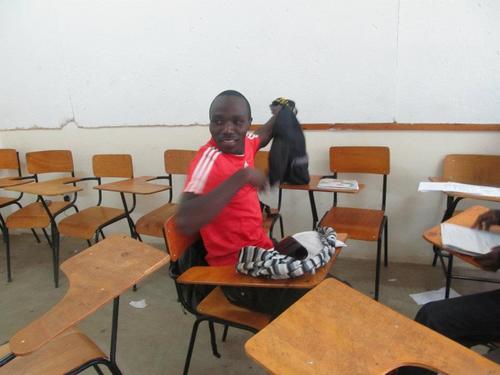 koks8's profile picture. 