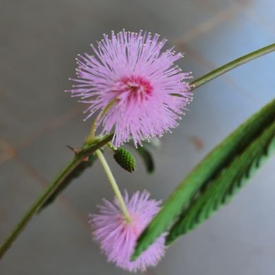 cryptobus6868's profile picture. 