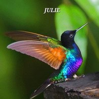 โค๏ธ๐บ๐ธJulie๐บ๐ธโค๏ธ (@juliebr18799338) 's Twitter Profile Photo โค๏ธ๐บ๐ธJulie๐บ๐ธโค๏ธ (@juliebr18799338) 's Twitter Profile Photo